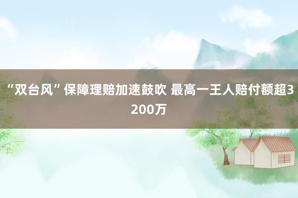 “双台风”保障理赔加速鼓吹 最高一王人赔付额超3200万