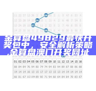 金算盘49829最快开奖包中，安全解析策略,金算盘澳门开奖网址