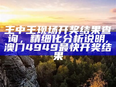 王中王现场开奖结果查询，精细化分析说明,澳门4949最快开奖结果