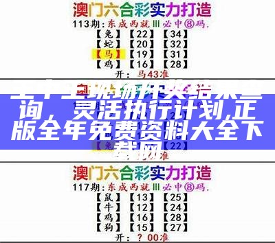 2020澳门今晚特码开奖，操作可靠性策略指南,今晚澳门开奖结果+开奖记录2022