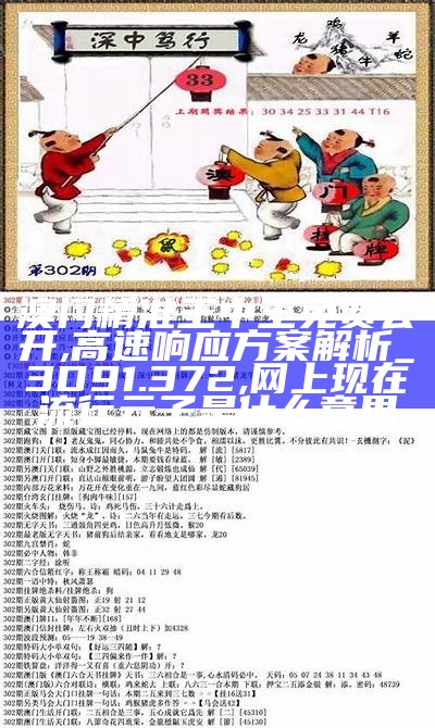 澳门精准王中王免费公开,高速响应方案解析_3D91.372,网上现在流行元子是什么意思