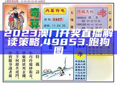 2023澳门六开奖结果查询现实数据,百合会论坛50