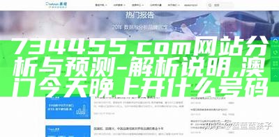 734455.com网站分析与预测-解析说明,澳门今天晚上开什么号码