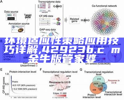 环境适应性策略应用技巧详解,42923b.cσm金牛版管家婆